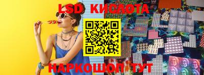 шишки Кимры