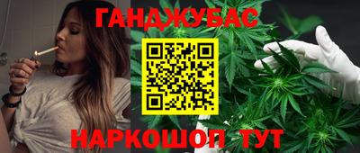 шишки Кимры