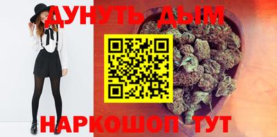 шишки Кимры
