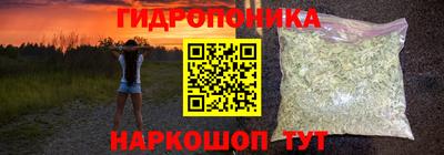 шишки Кимры