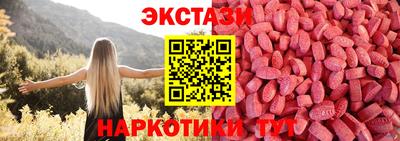 шишки Кимры