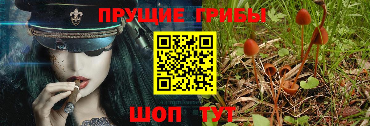 Псилоцибиновые грибы ЛСД Надым