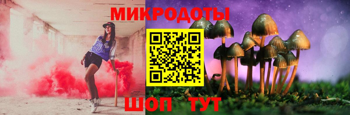 Псилоцибиновые грибы GOLDEN TEACHER  Вход с VPN  купить   Псилоцибиновые грибы мицелий  Надым 